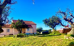 Linhal Das Meias - Sao Jose Das Matas